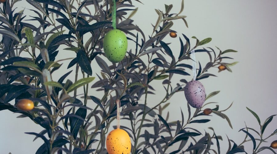 Photo olive color