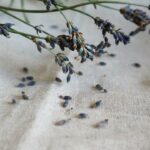 Photo linen