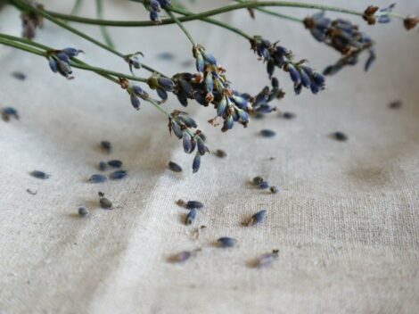 Photo linen