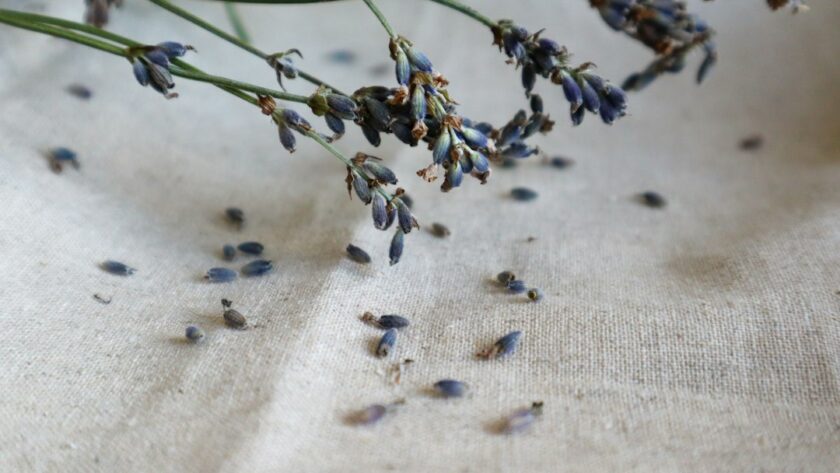 Photo linen
